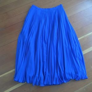 Zara Pleated Midi Skirt (XS)